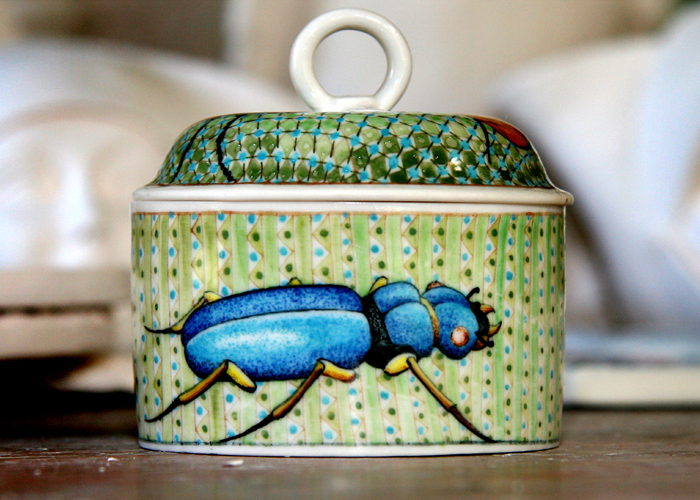 Insect Pot